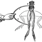 5 Scientific Influences Behind Mary Shelley’s Frankenstein